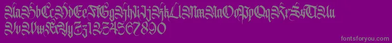 Avertequestra PERSONAL USE ONLY Font – Gray Fonts on Purple Background
