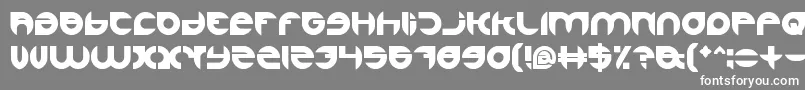 AlexandraBold Font – White Fonts on Gray Background
