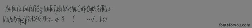Awesome Birds Font – Black Fonts on Gray Background