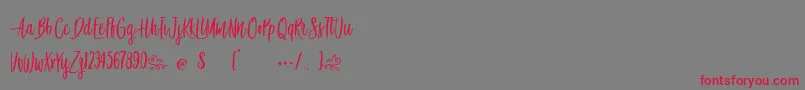 Awesome Birds Font – Red Fonts on Gray Background