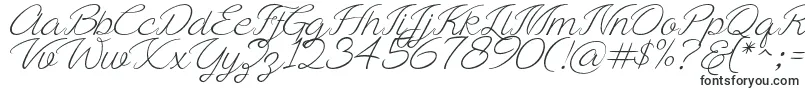 Ayla script Free Demo Font – Fonts for Adobe Illustrator