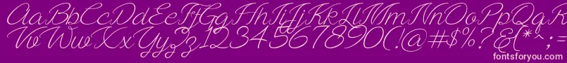 Ayla script Free Demo Font – Pink Fonts on Purple Background