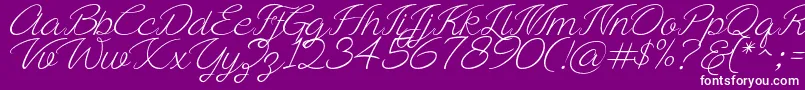 fuente Ayla script Free Demo – Fuentes Blancas Sobre Fondo Morado