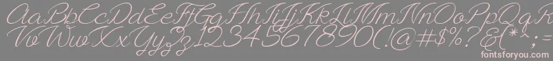 Шрифт Ayla script Free Demo – розовые шрифты на сером фоне