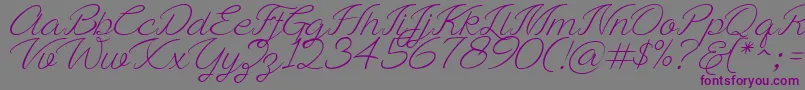 Ayla script Free Demo Font – Purple Fonts on Gray Background