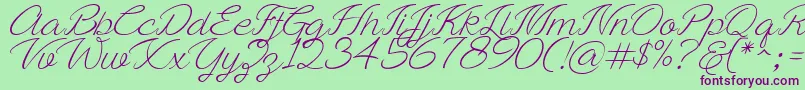 Ayla script Free Demo Font – Purple Fonts on Green Background
