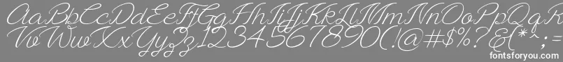 Ayla script Free Demo Font – White Fonts on Gray Background