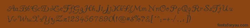 AYUMA    Font – Black Fonts on Brown Background