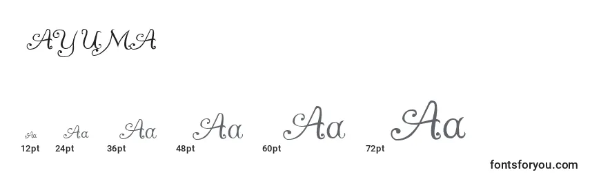 Размеры шрифта AYUMA    (120378)