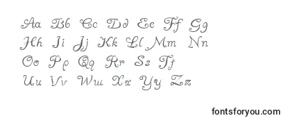 AYUMA    Font