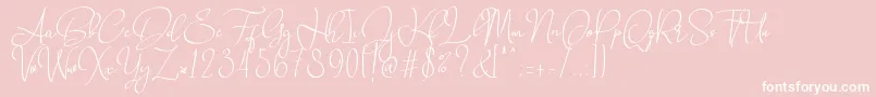 フォントBabes  Bridal   – ピンクの背景に白い文字