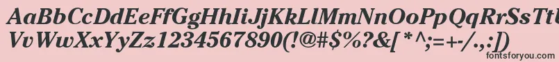 CheltenhamBoI Font – Black Fonts on Pink Background