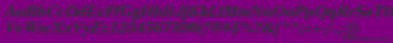 CheltenhamBoI Font – Black Fonts on Purple Background