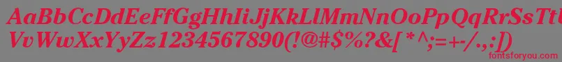 CheltenhamBoI Font – Red Fonts on Gray Background