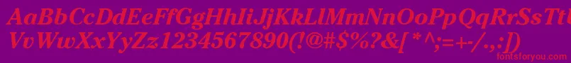 CheltenhamBoI Font – Red Fonts on Purple Background