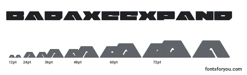Размеры шрифта Badaxeexpand (120472)