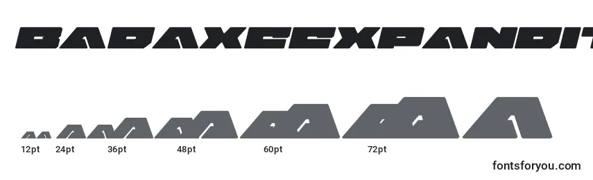 Размеры шрифта Badaxeexpandital (120474)