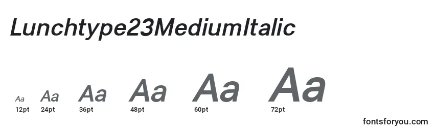 Lunchtype23MediumItalic Font Sizes