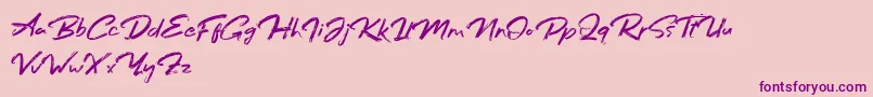 Bafora Regular Demo-Schriftart – Violette Schriften auf rosa Hintergrund