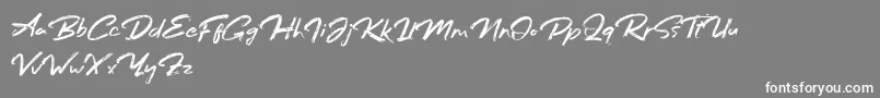 Bafora Regular Demo-Schriftart – Weiße Schriften auf grauem Hintergrund