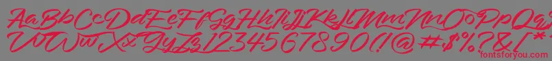 Bahari Font – Red Fonts on Gray Background