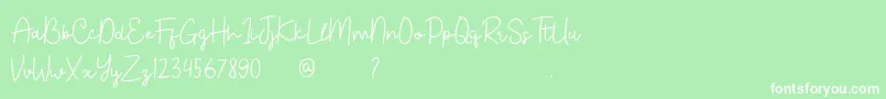 Bahary Font – White Fonts on Green Background