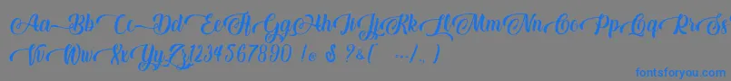 Baking Lion   Personal Use-Schriftart – Blaue Schriften auf grauem Hintergrund