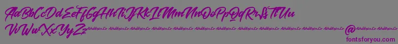 Baksoda Demo Font – Purple Fonts on Gray Background