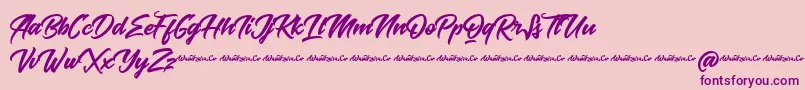 Baksoda Demo Font – Purple Fonts on Pink Background