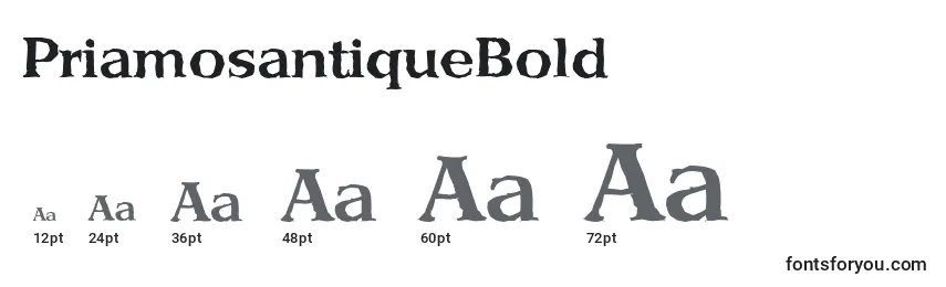 Размеры шрифта PriamosantiqueBold