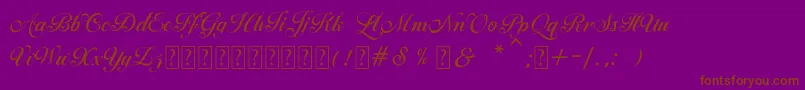 Ballegra Font – Brown Fonts on Purple Background