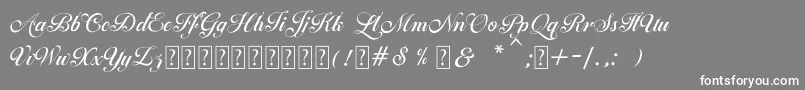 フォントBallegra – 灰色の背景に白い文字