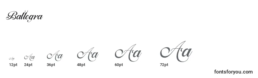 Ballegra Font Sizes