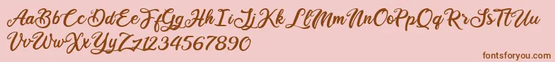 Ballet Harmony Font – Brown Fonts on Pink Background