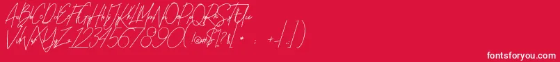 BallistickDemoVersion-Schriftart – Weiße Schriften auf rotem Hintergrund