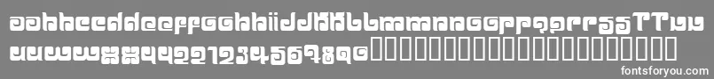 BALLOM  -Schriftart – Weiße Schriften auf grauem Hintergrund