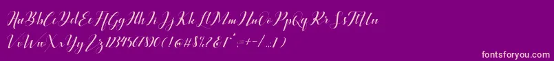 Ballqis Script-Schriftart – Rosa Schriften auf violettem Hintergrund