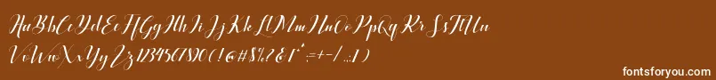 フォントBallqis Script – 茶色の背景に白い文字