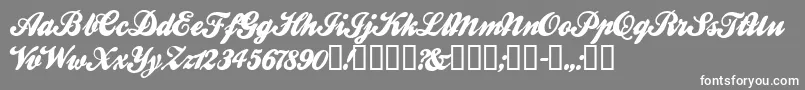 BALLW    Font – White Fonts on Gray Background