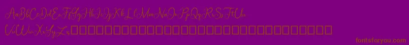 Baltika Demo Font – Brown Fonts on Purple Background