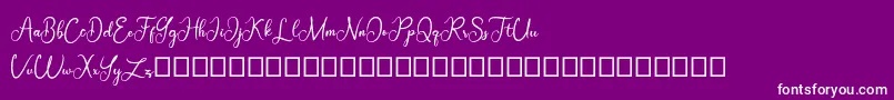 Baltika Demo-Schriftart – Weiße Schriften auf violettem Hintergrund
