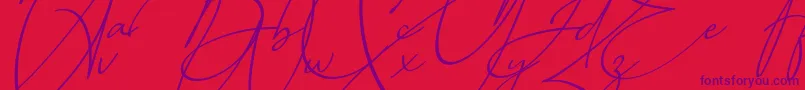Police Baltimore Bold   Italic – polices violettes sur fond rouge