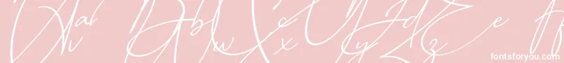 Baltimore Bold   Italic Font – White Fonts on Pink Background