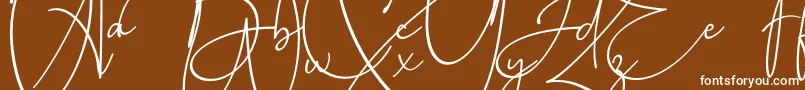フォントBaltimore Bold – 茶色の背景に白い文字