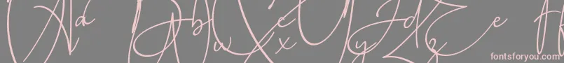 Baltimore Bold Font – Pink Fonts on Gray Background