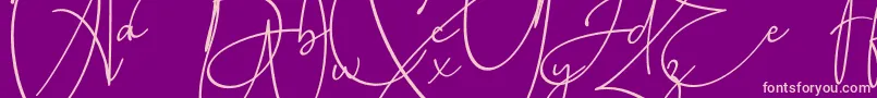 Baltimore Bold Font – Pink Fonts on Purple Background