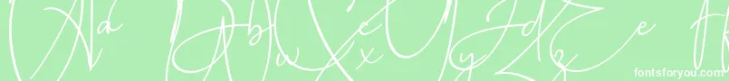 フォントBaltimore Bold – 緑の背景に白い文字