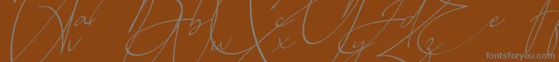 Baltimore Regular   Italic Font – Gray Fonts on Brown Background