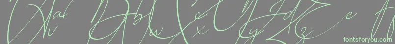 Baltimore Regular   Italic Font – Green Fonts on Gray Background