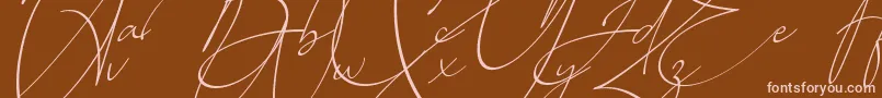 Baltimore Regular   Italic Font – Pink Fonts on Brown Background